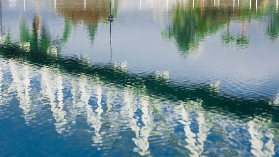 Responding to drought