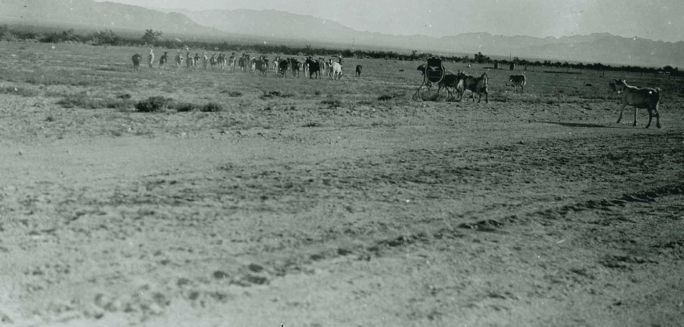 Cañón de roca de 1928