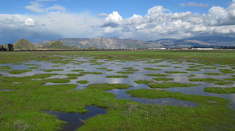 Reserva Upper Salt Creek