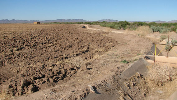 Un campo recién labrado en el Distrito de Riego de Palo Verde