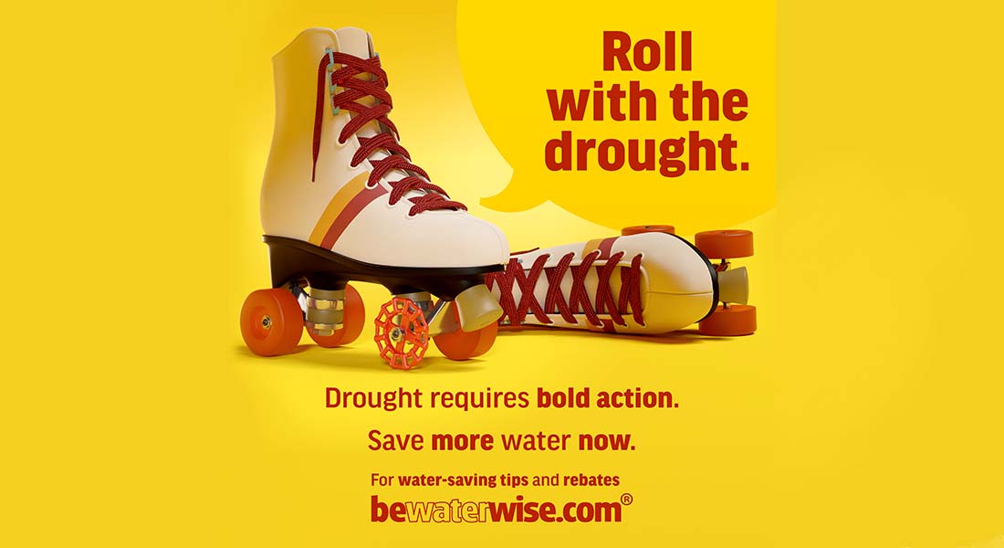 The Drought Emergency