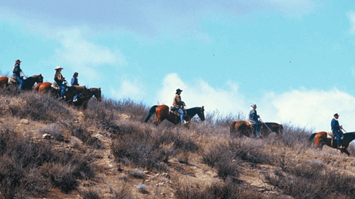Un grupo recorre a caballo un sendero cerca del lago Diamond Valley