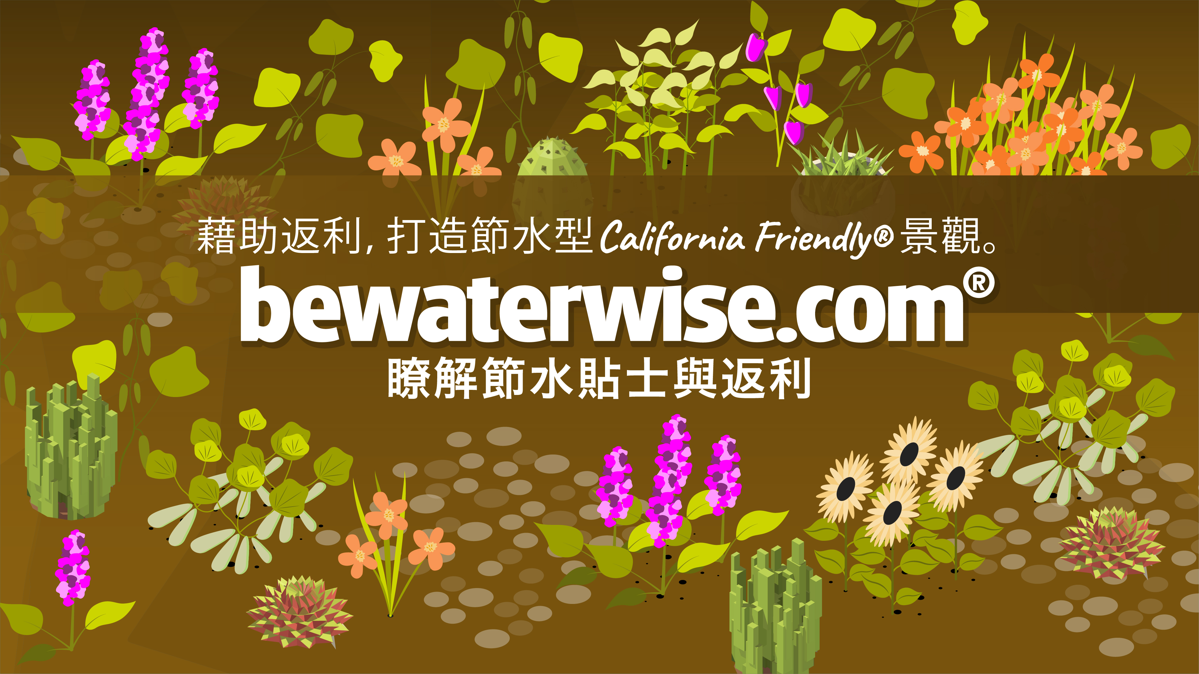 Bewaterwise.com Chinese translation