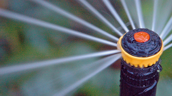 A sprinkler watering grass