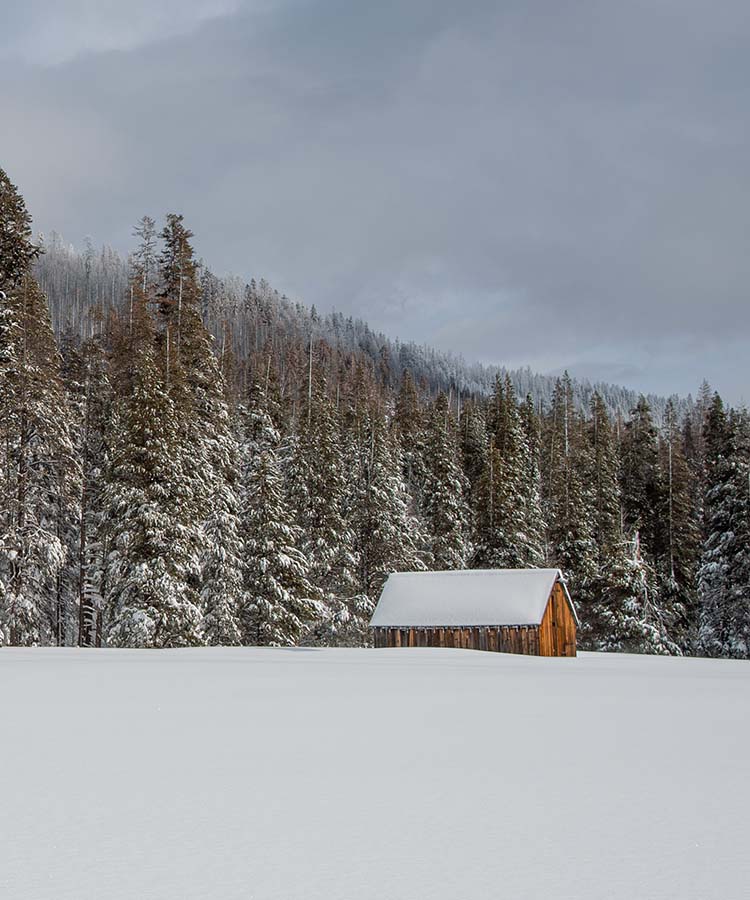 Nieve