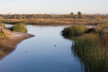 Río Colorado