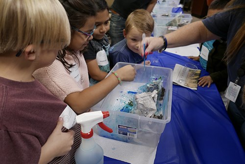 An elementary school class observes an experiment conducted by a teacher and a child