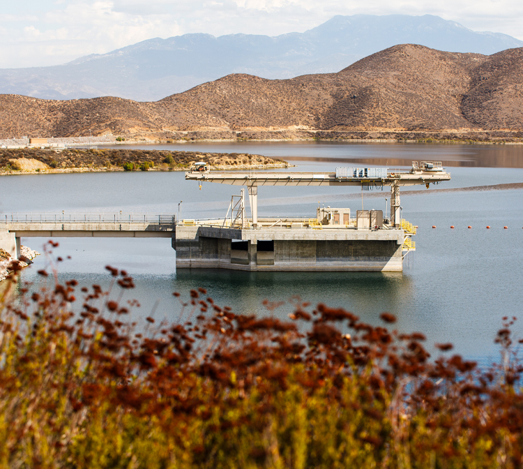 Image of someone on their smartphone.