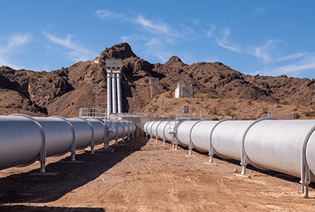 Gene Pumping Plant