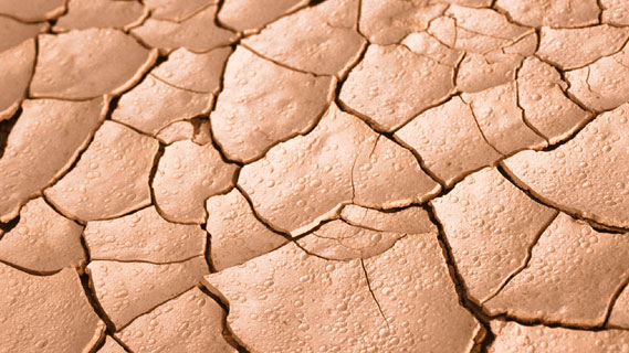 Entering fifth year of drought