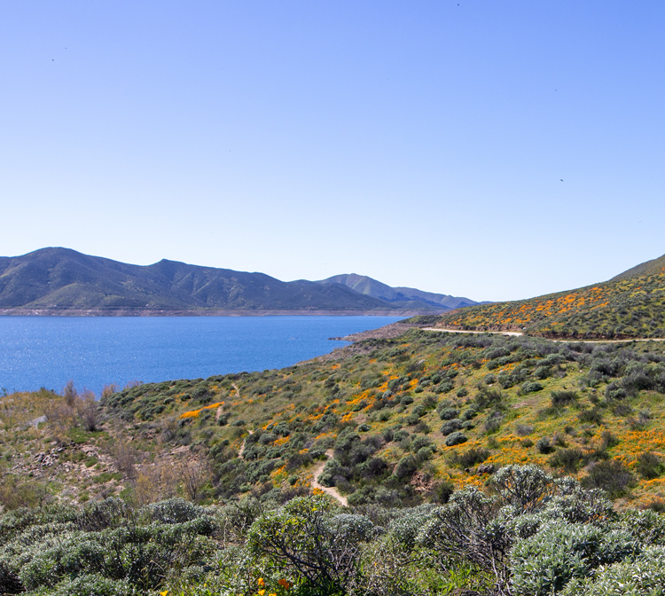 Diamond Valley Lake
